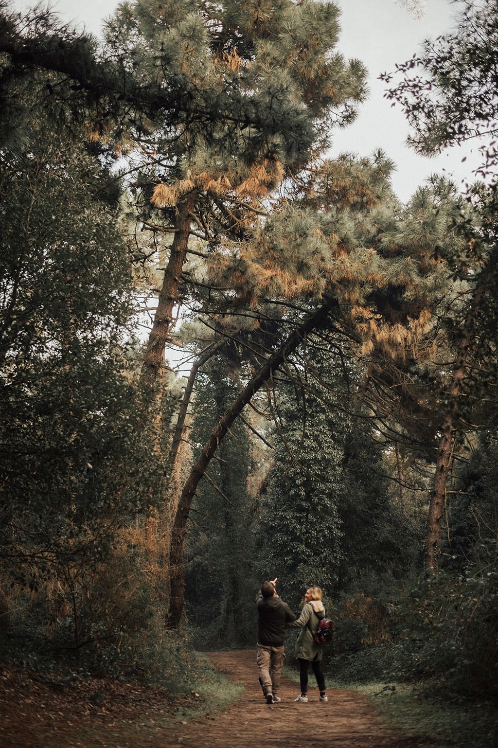 couple walking in a beautiful forest